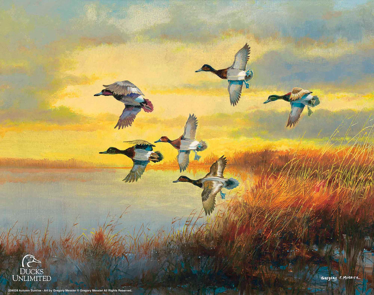 Autumn Sunrise Bluebills Art Prints - Official Ducks Unlimited Art