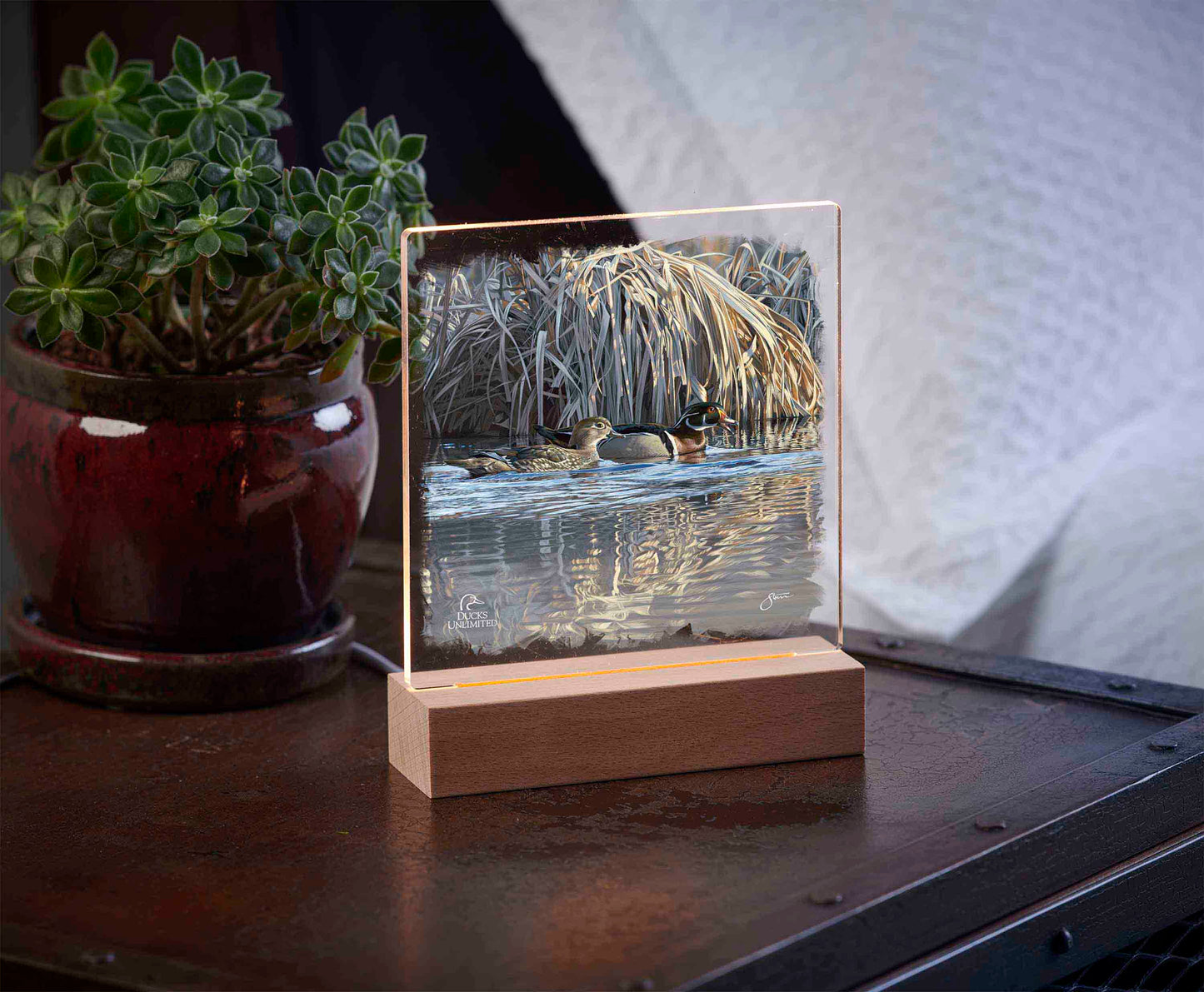 Backwater Gathering 6.37" x 6" Acrylic Night Light - Official Ducks Unlimited Art