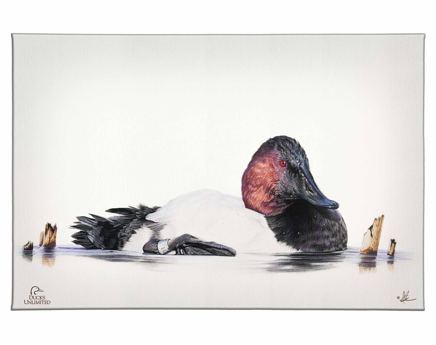 Banded Gallery Wrapped Canvas - Official Ducks Unlimited Art