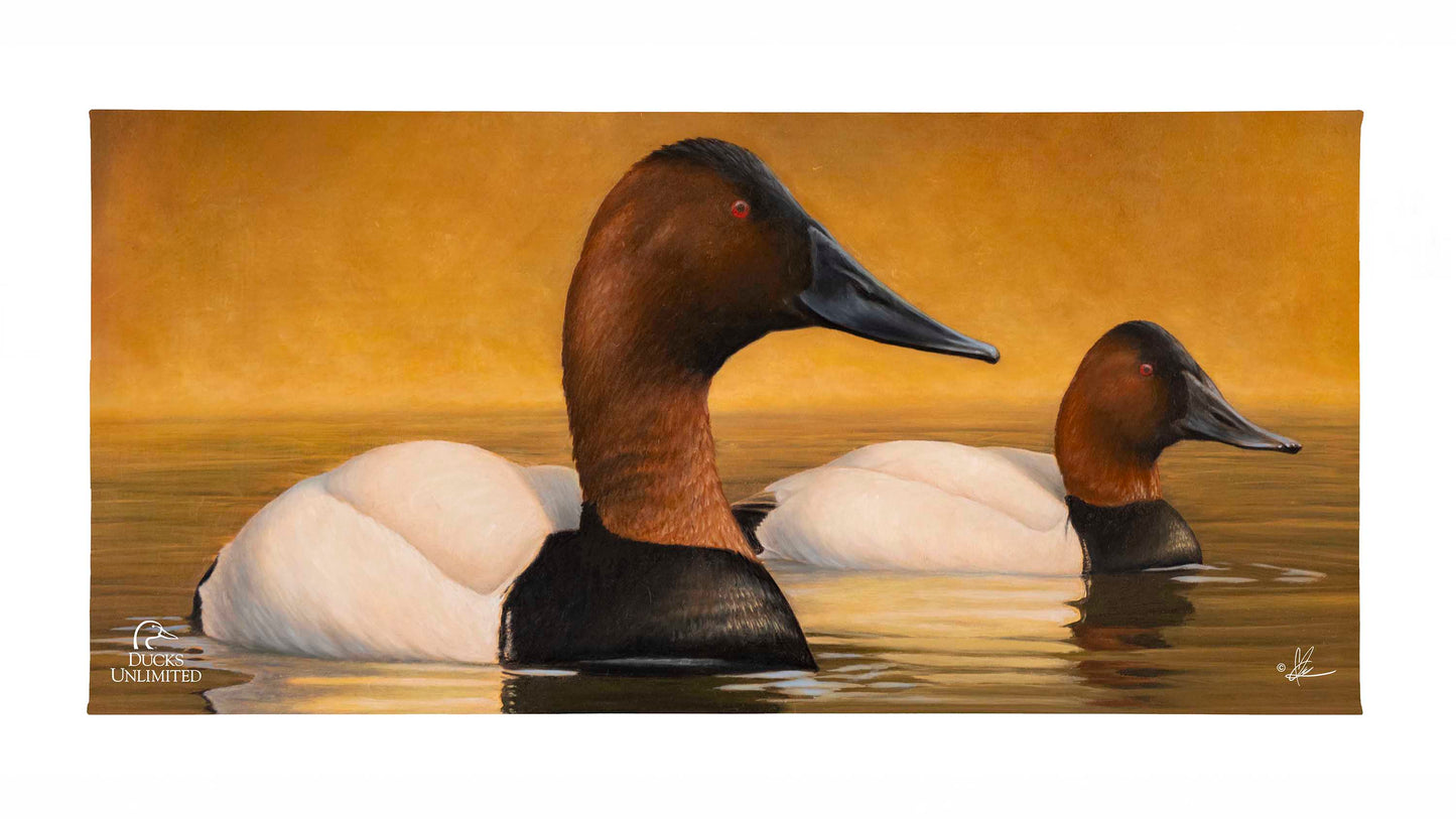 Canvas Back Gallery Wrapped Canvas - Official Ducks Unlimited Art