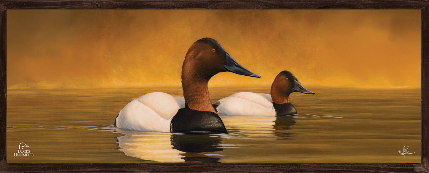 Canvas Back 12" x 30" Wood Sign - Official Ducks Unlimited Art