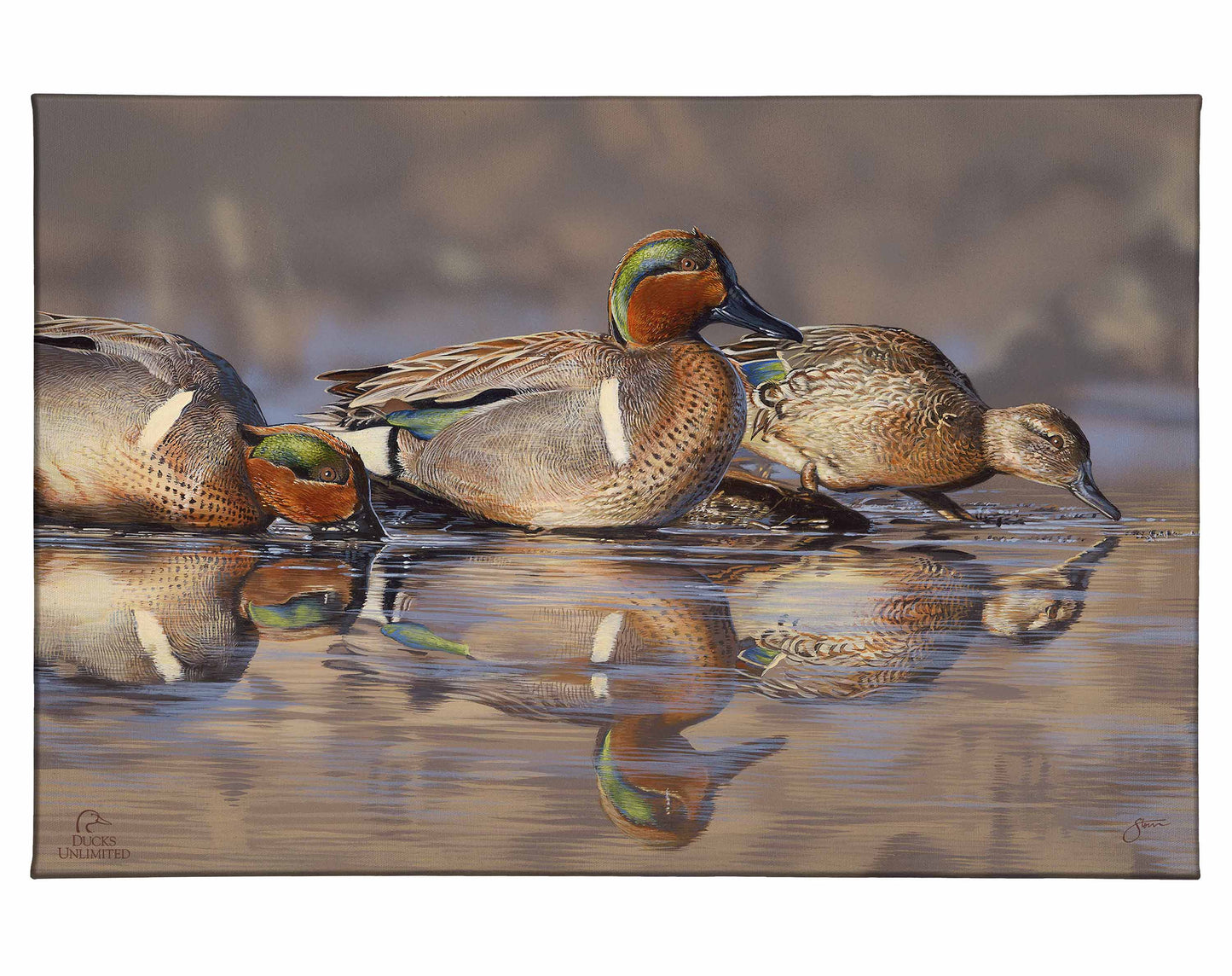 Dabbling Greens Gallery Wrapped Canvas - Official Ducks Unlimited Art