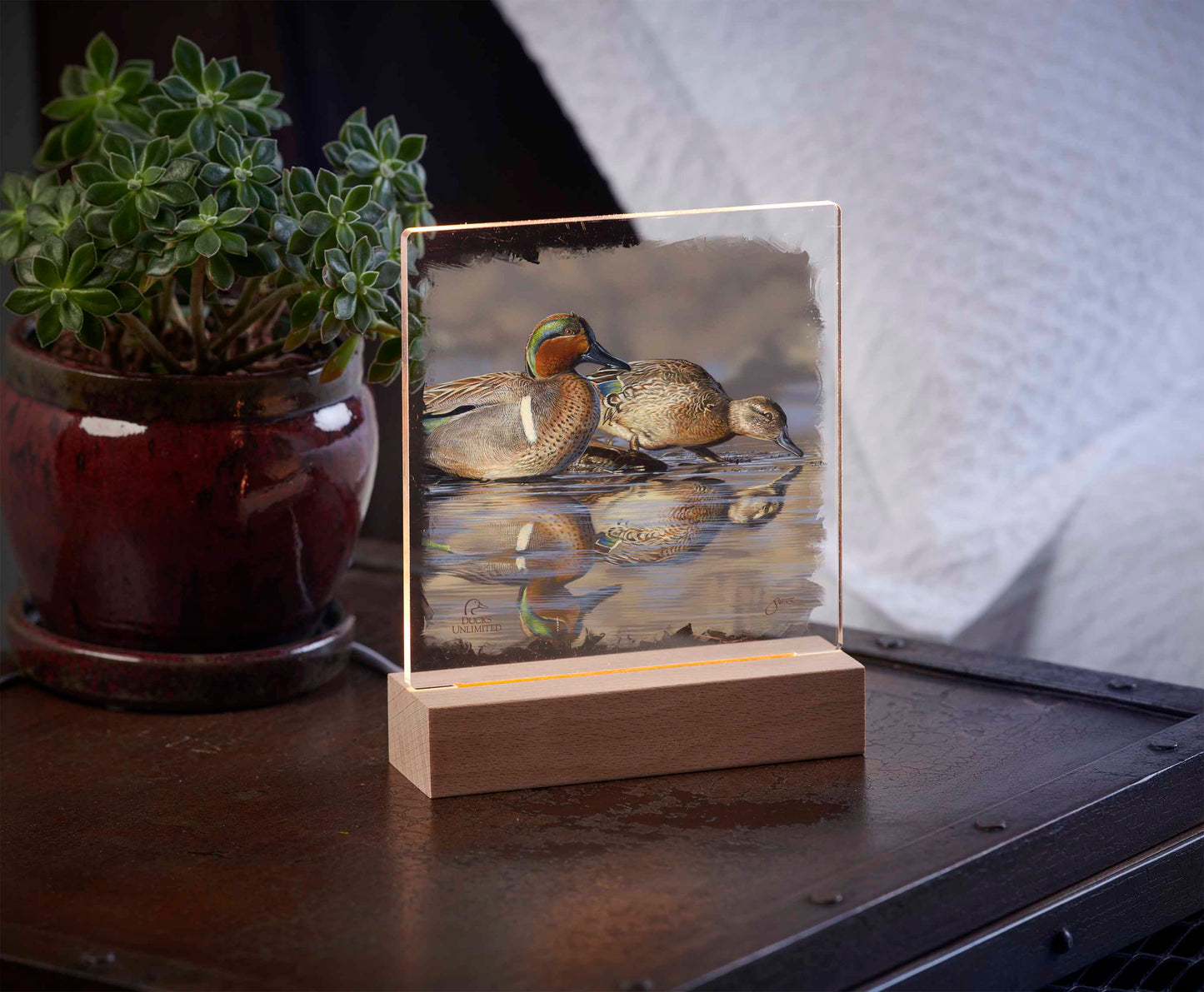 Dabbling Greens 6.37" x 6" Acrylic Nightlight - Official Ducks Unlimited Art
