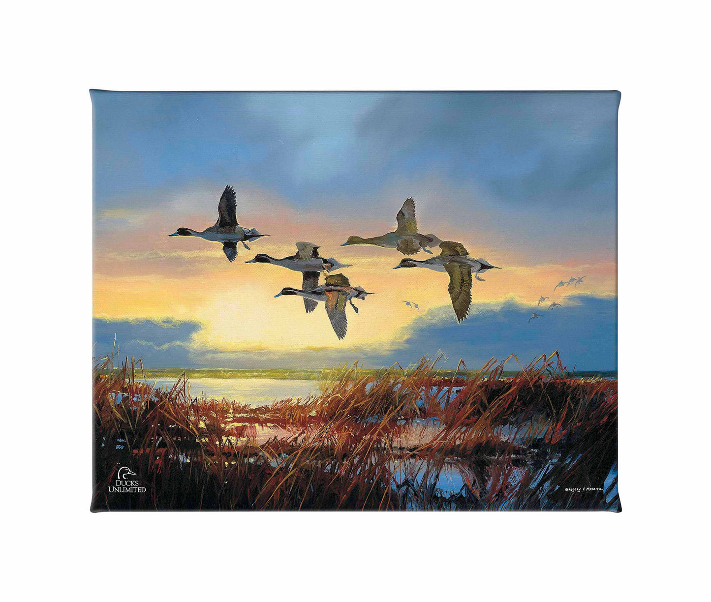 Dawn Patrol - Pintails Gallery Wrapped Canvas - Official Duck Unlimited Art