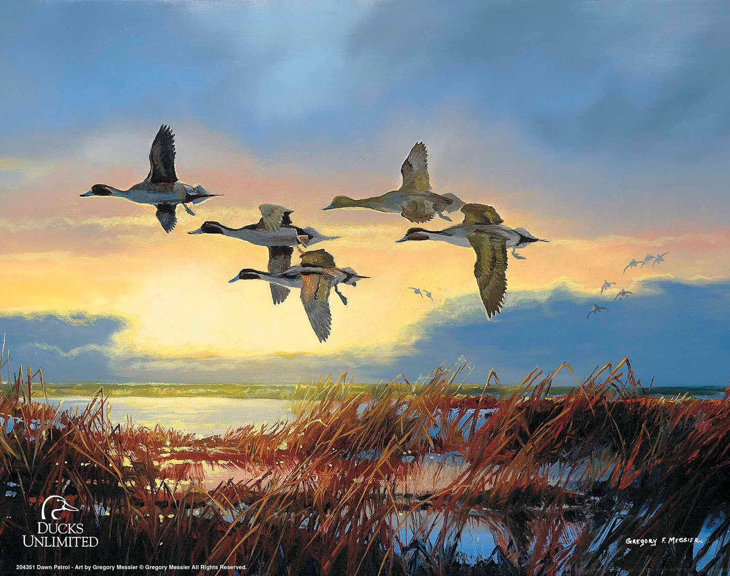 Dawn Patrol - Pintails Art Prints - Official Ducks Unlimited Art