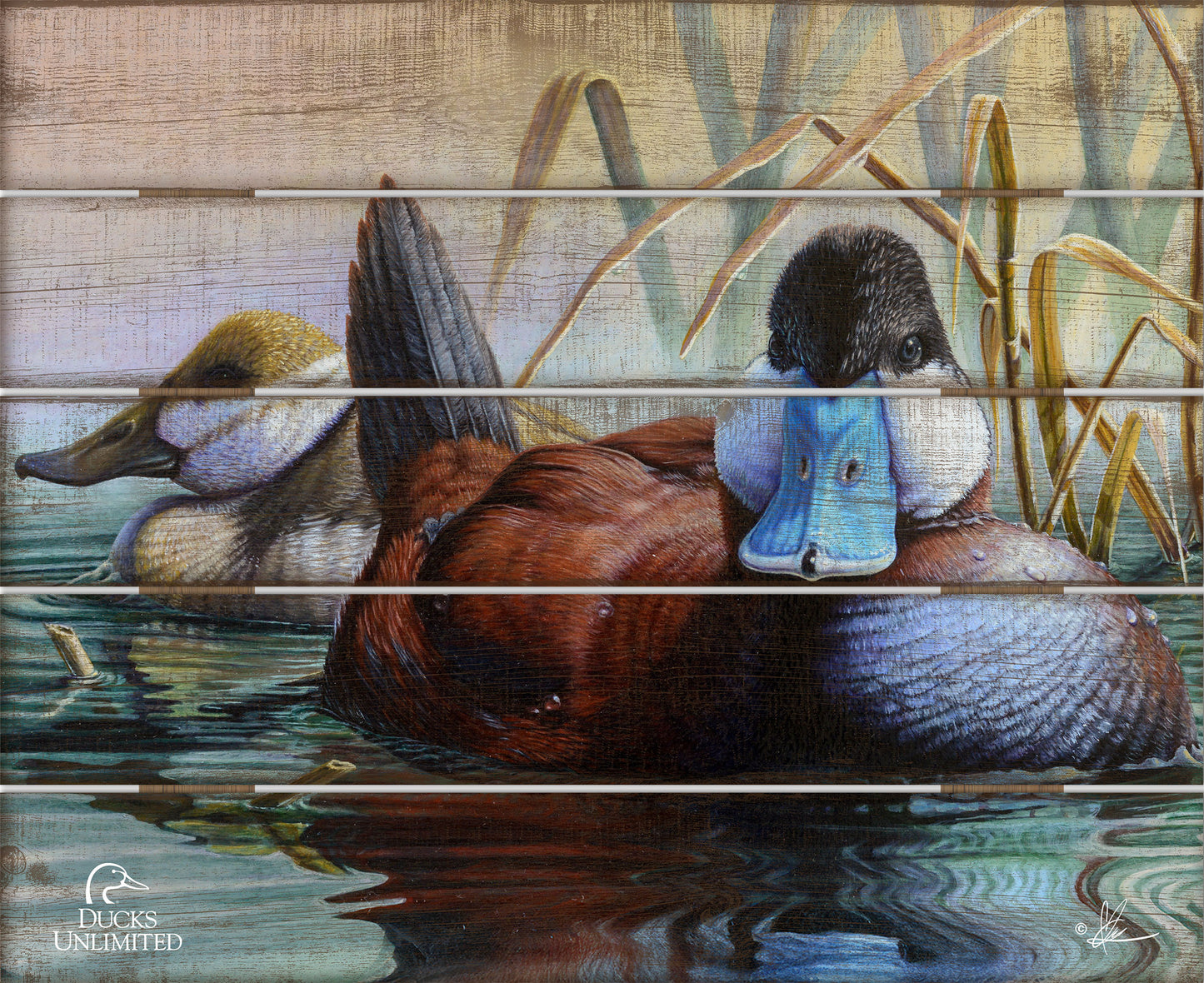 Day Spring 18" x 22" Pallet Wall Art - Official Ducks Unlimited Art