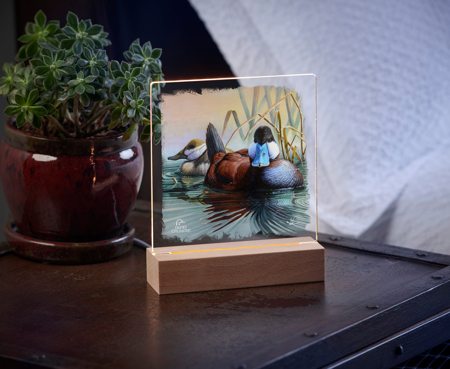 Day Spring 6.37" x 6" Acrylic Nightlight - Official Ducks Unlimited Art