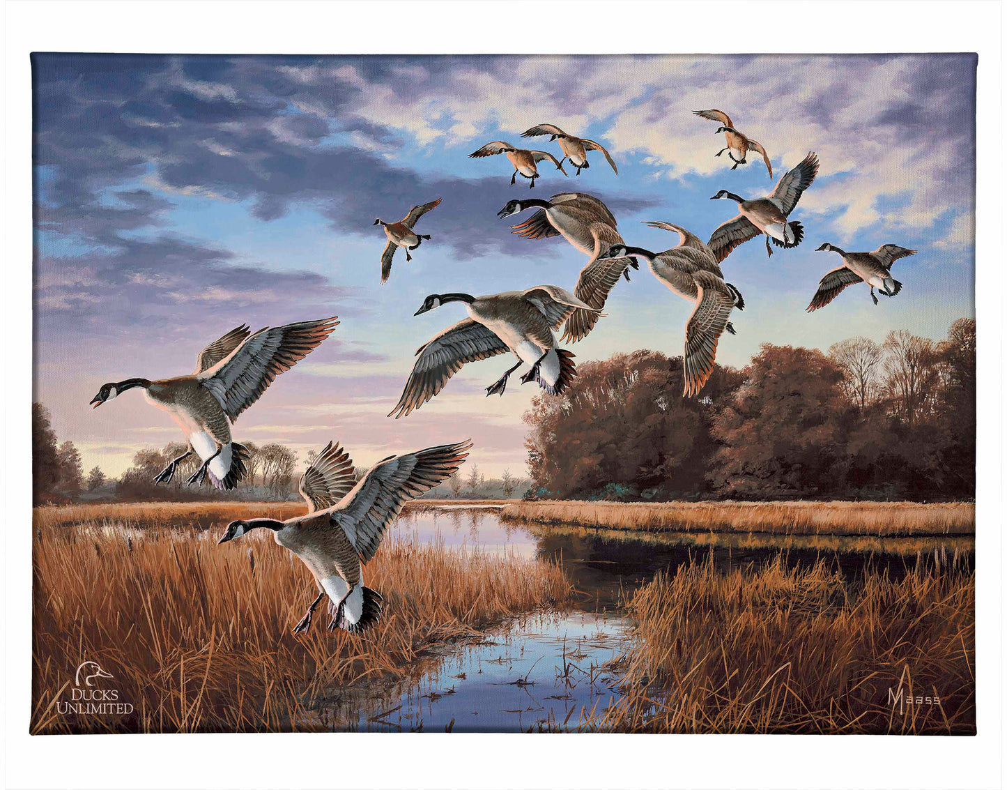 Daybreak Descent - Canada Geese Gallery Wrapped Canvas - Official Ducks Unlimited Art