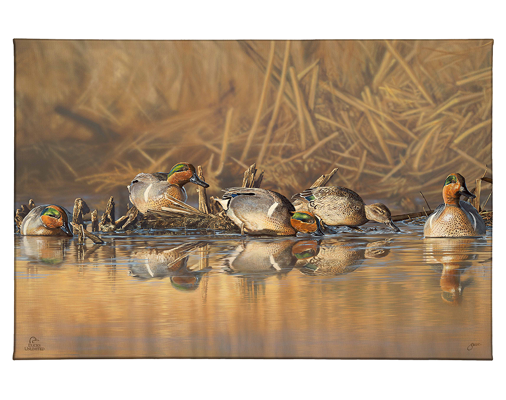 Emerald Waters Gallery Wrapped Canvas - Official Ducks Unlimited Art