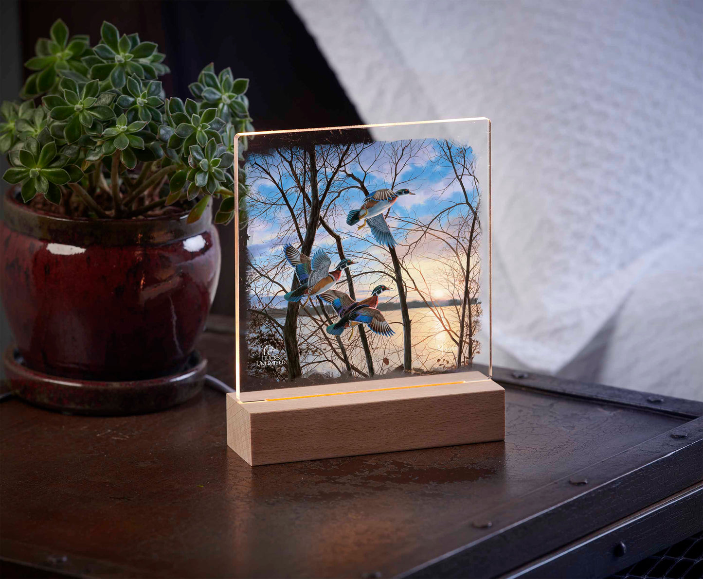 Evening Flight Wood Ducks 6.37" x 6" Acrylic Nightlight - Official Ducks Unlimited Art