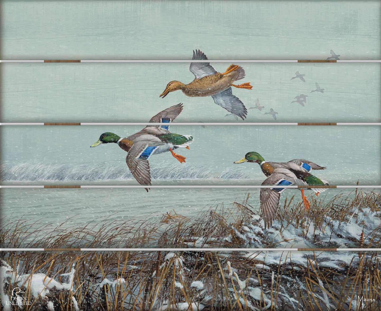 Finding Open Water Mallards 18" x 22" Pallet Wall Art - Official Ducks Unlimited Art