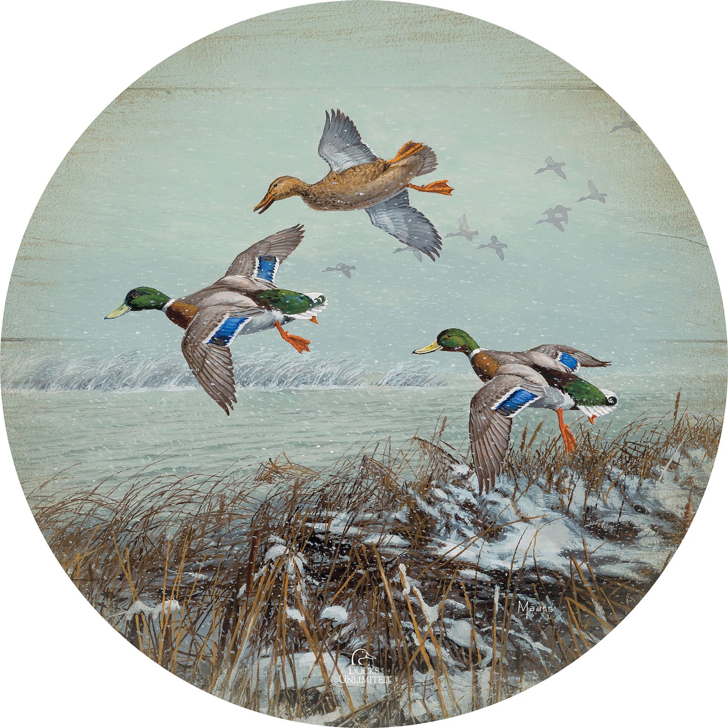 Finding Open Water Mallards 21" Round Wood Sign - Official Ducks Unlimited Art