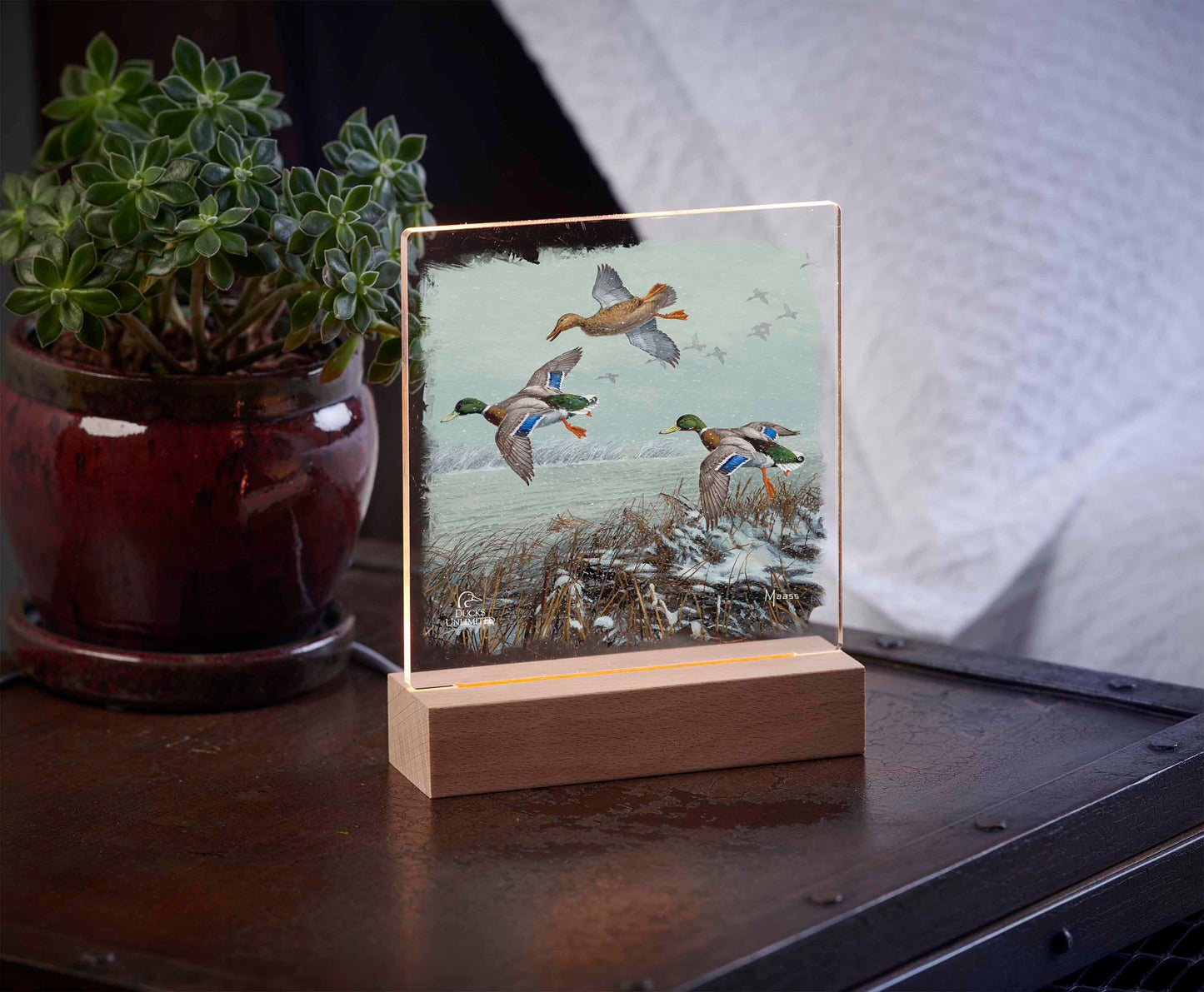 Finding Open Water Mallards 6.37" x 6" Acrylic Nightlight - Official Ducks Unlimited Art