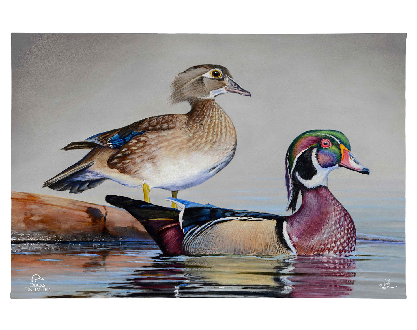 Foggy Day Woodies Gallery Wrapped Canvas - Official Ducks Unlimited Art