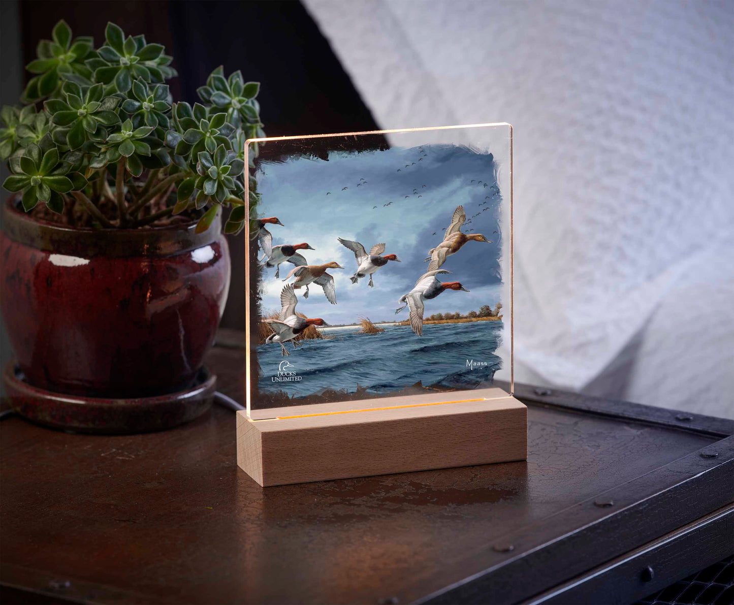 Fruits of Your Labor Canvasbacks 6.37" x 6" Acrylic Nightlight - Official Ducks Unlimited Art