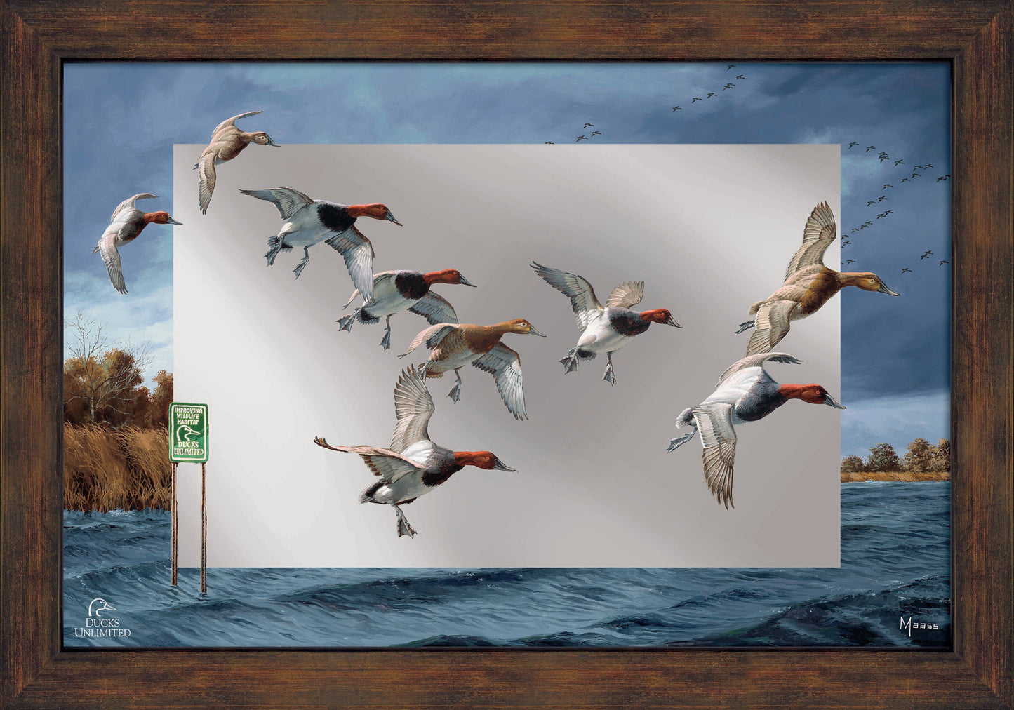 Fruits of Your Labor - Canvasbacks 16" x 24" Mirror Framed Barnwood - Official Ducks Unlimited Art