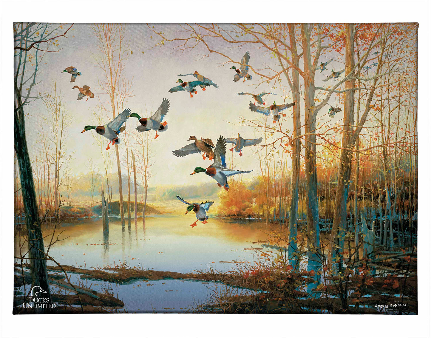 Graceful Descent Gallery Wrapped Canvas - Official Ducks Unlimited Art