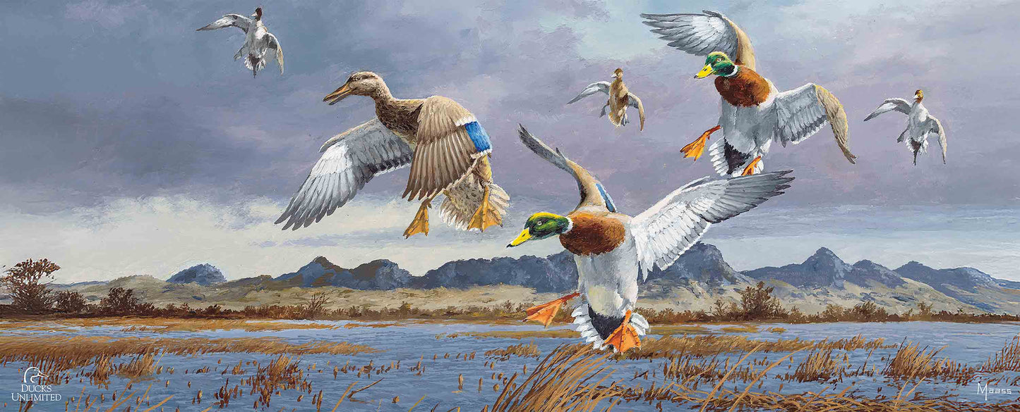 In Before the Squall - Mallards and Pintails at the Sutter Buttes 12" x 30" Wood Sign - Official Ducks Unlimited Art