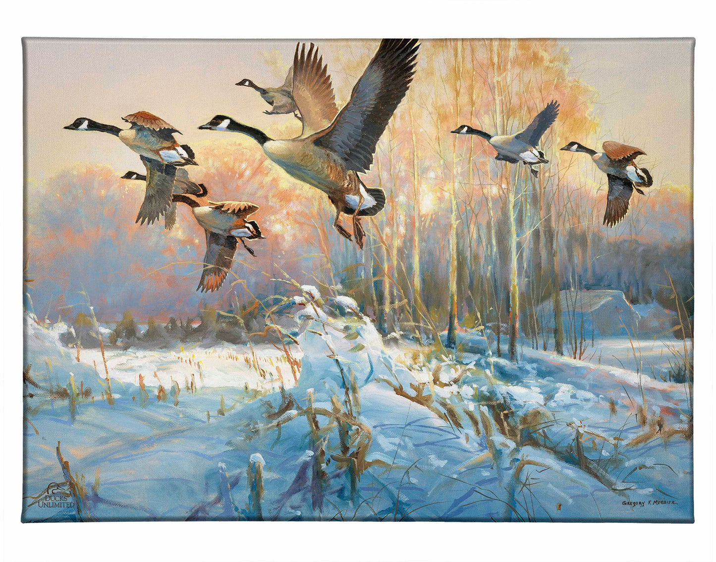 Late Departure - Canada Geese Gallery Wrapped Canvas - Official Ducks Unlimited Art