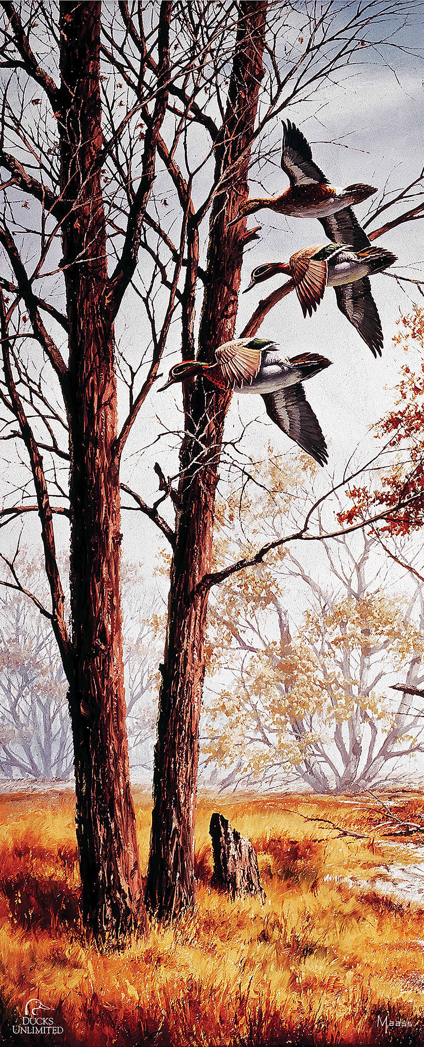 Misty Morning Green winged Teal 12" x 30" Wood Sign - Official Ducks Unlimited Art