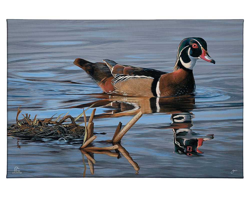 Morning Stroll Gallery Wrapped Canvas - Official Ducks Unlimited Art