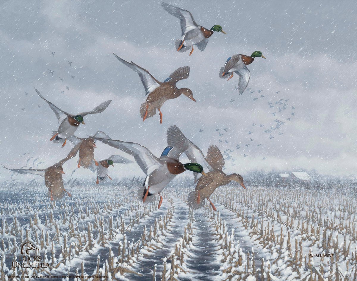Northern Flight - Mallards Art Prints - Official Ducks Unlimited Art