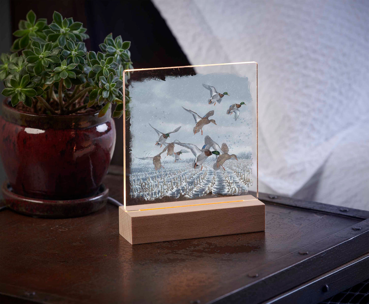 Northern Flight 6.37" x 6" Acrylic Night Light - Official Ducks Unlimited Art