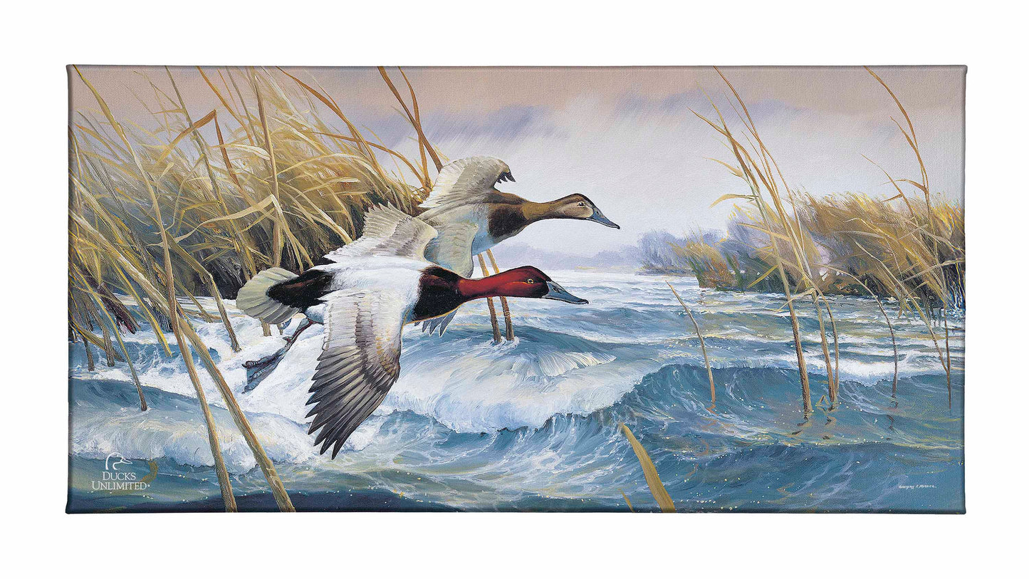 On the Deck Canvasbacks Gallery Wrapped Canvas - Official Ducks Unlimited Art
