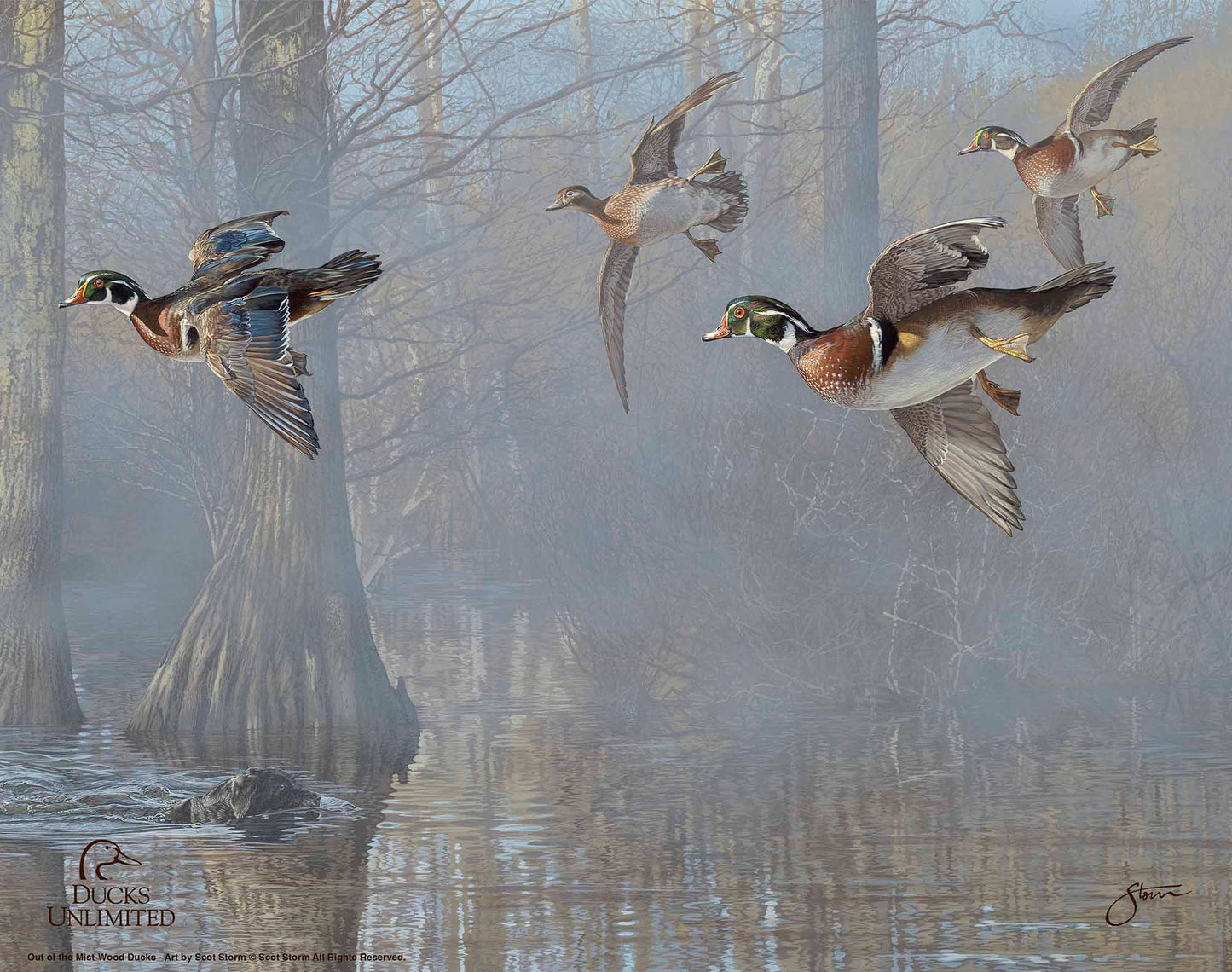 Out of the Mist - Wood Ducks Art Prints - Official Ducks Unlimited Art
