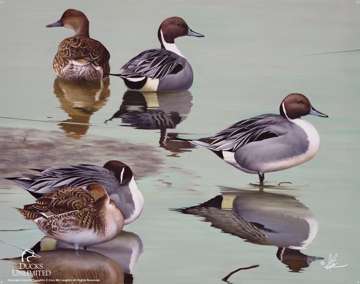 Overcast Art Prints - Official Ducks Unlimited Art