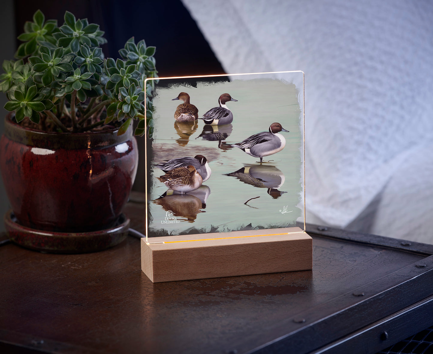 Overcast Acrylic Night Light - Official Ducks Unlimited Art
