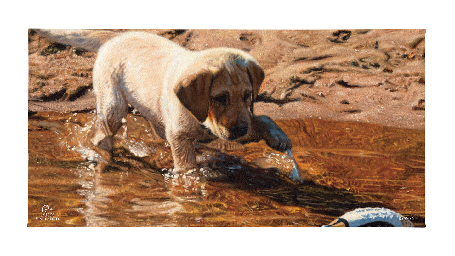 Piddle Paddle Pup Yellow Lab Gallery Wrapped Canvas - Official Ducks Unlimited Art