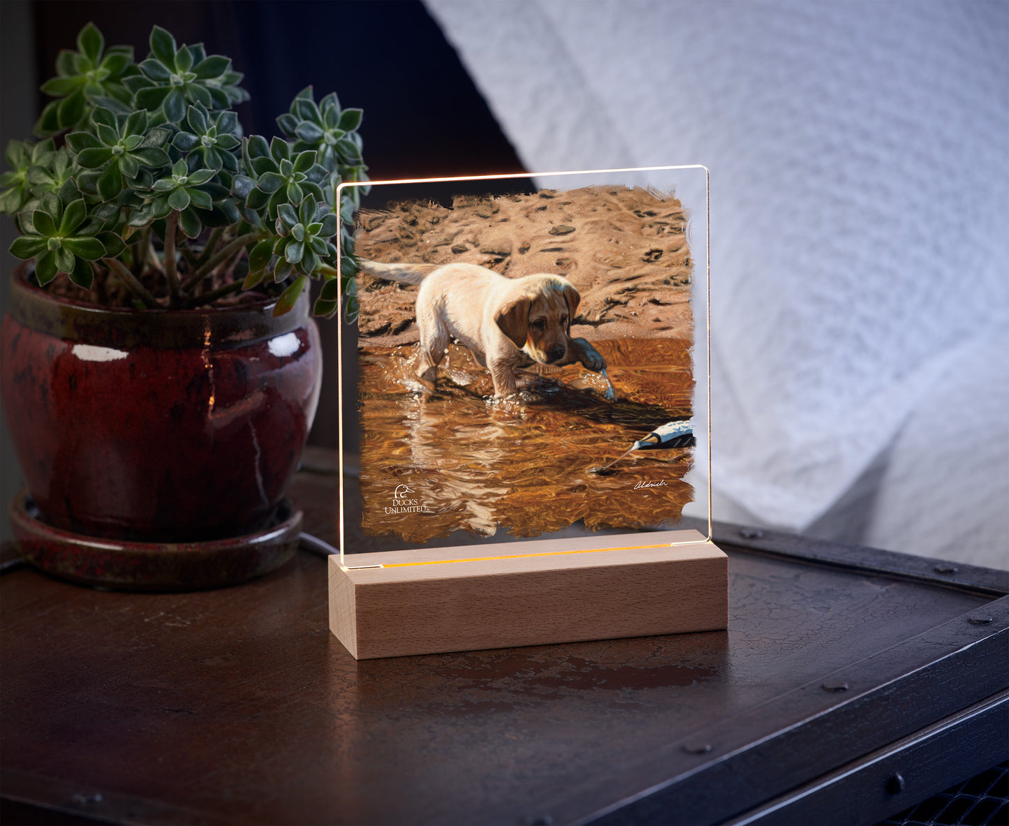 Piddle Paddle Pup Yellow Lab Acrylic Night Light - Official Ducks Unlimited Art