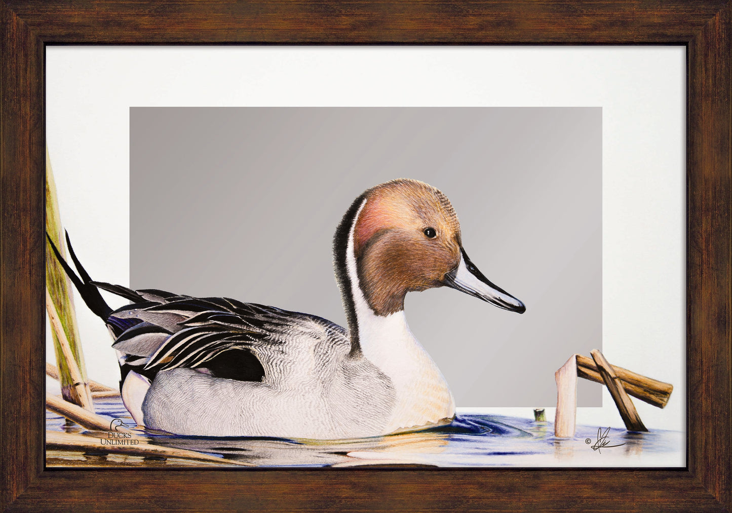 Pintail 16" x 24" Mirror Framed Barnwood - Official Ducks Unlimited Art