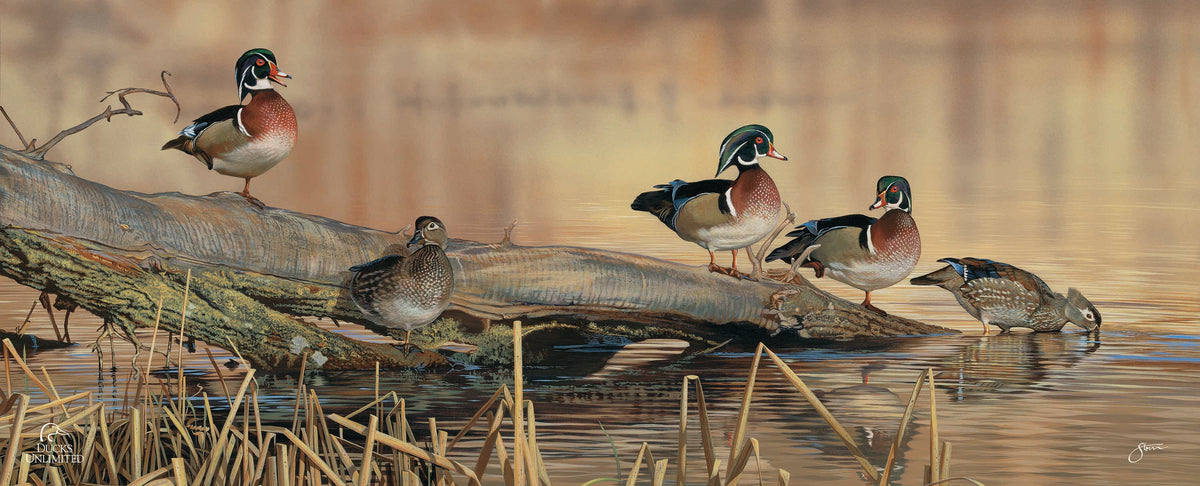Resting Place - Wood Ducks 12" x 30" Wood Sign - Official Ducks Unlimited Art