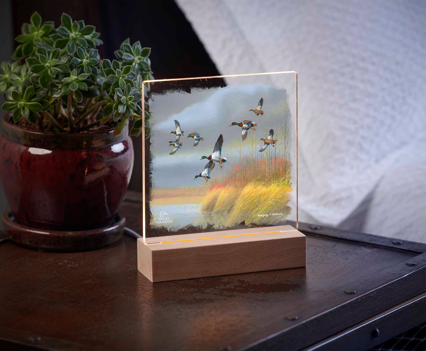 Returning Home Mallards Acrylic Night Light - Official Ducks Unlimited Art