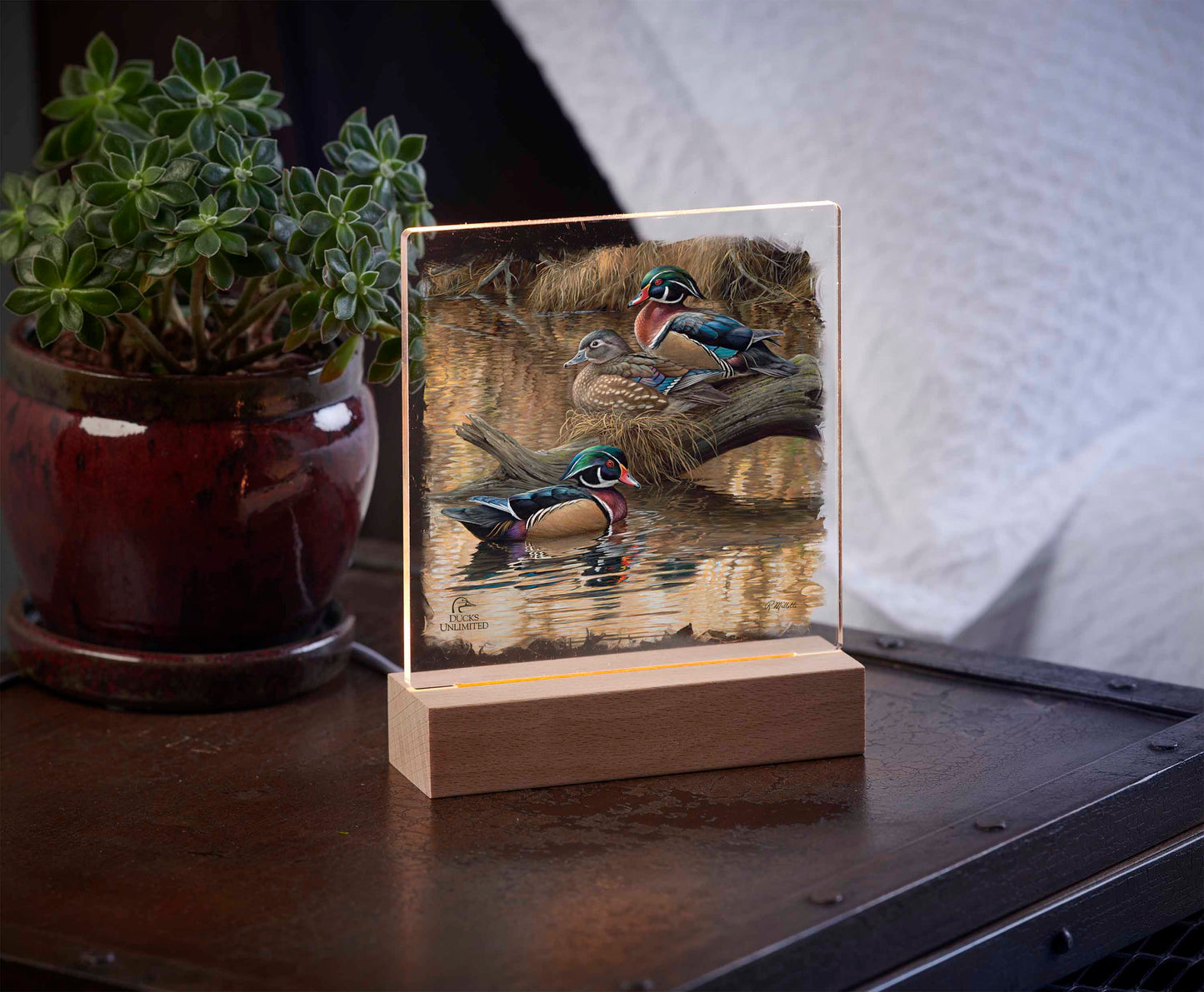 Sitting Pretty Wood Ducks Acrylic Night Light - Official Ducks Unlimited Art