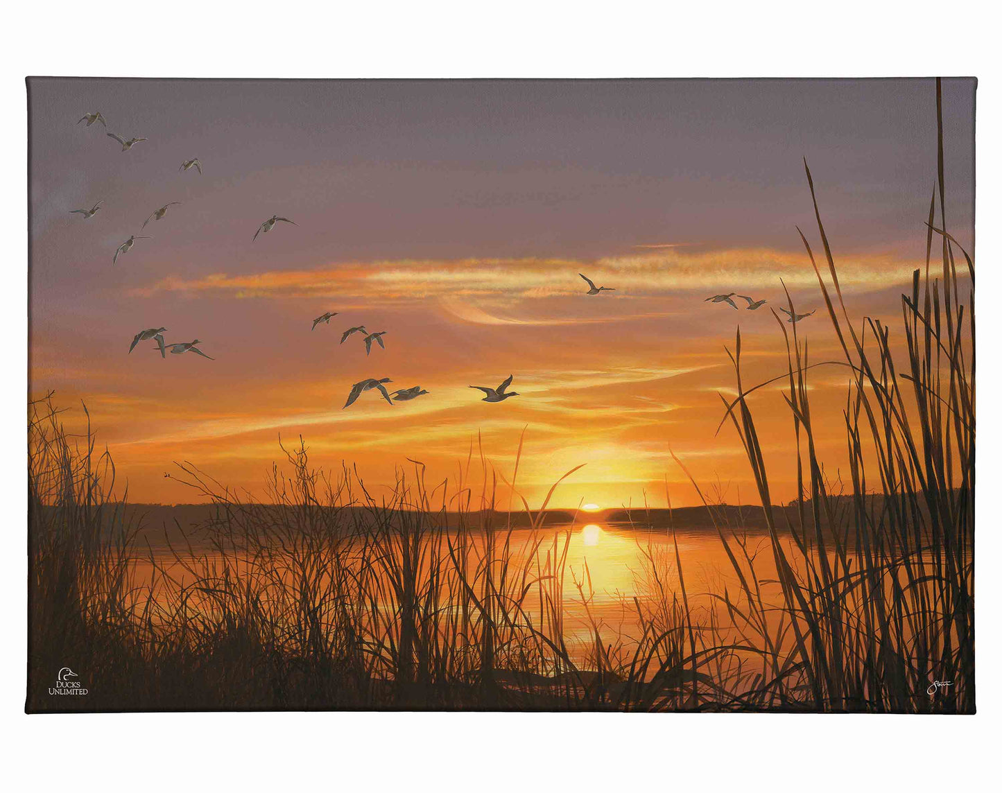 Sunset's Last Minutes Gallery Wrapped Canvas - Official Ducks Unlimited Art