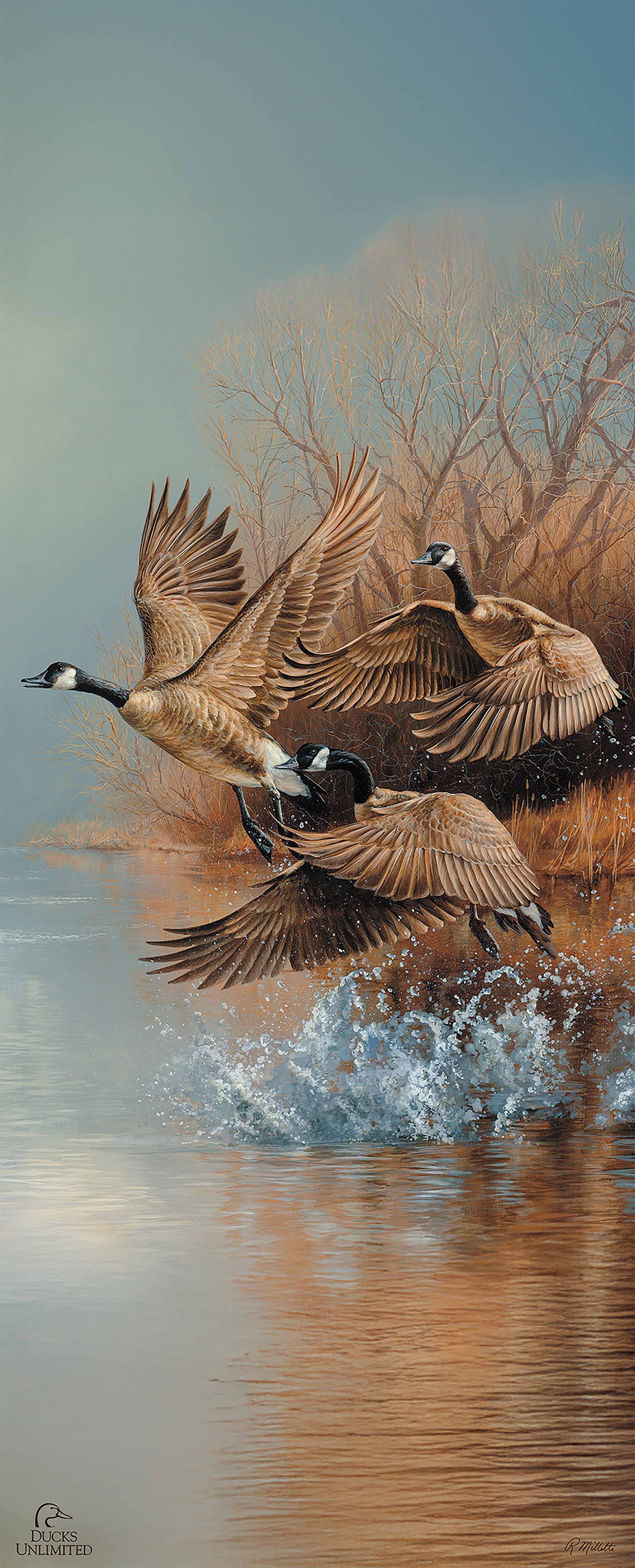Taking Flight Canada Geese 12" x 30" Wood Sign - Official Ducks Unlimited Art