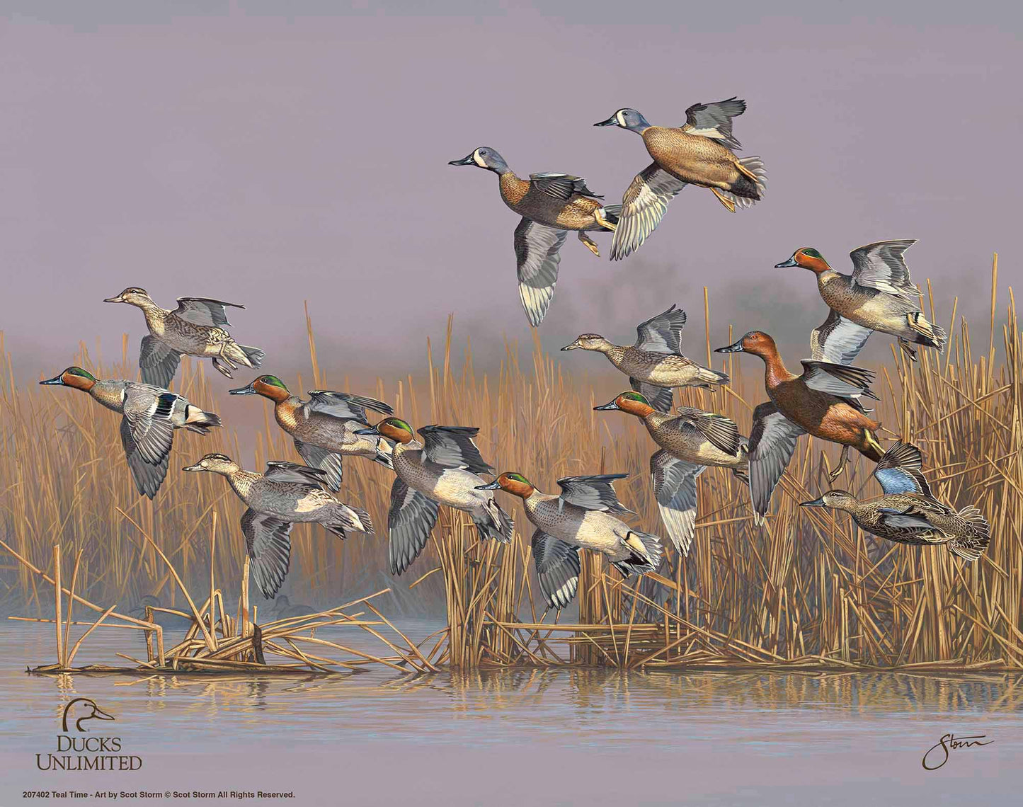 Teal Time Art Prints - Official Ducks Unlimited Art