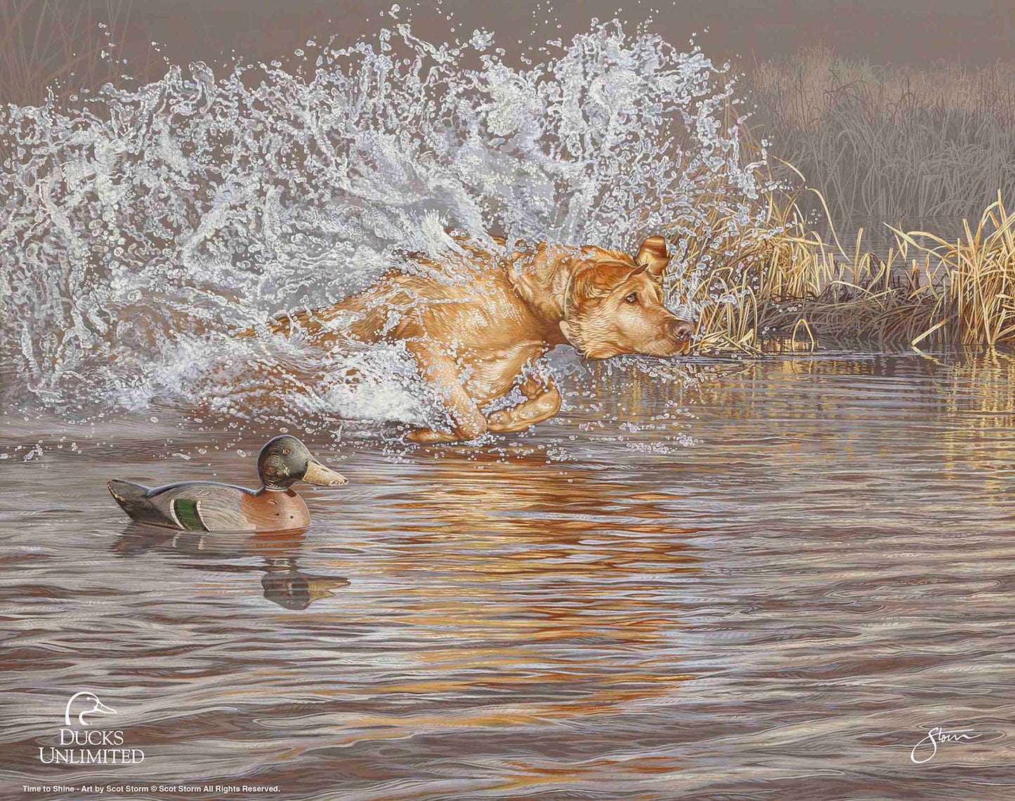 Time to Shine Art Prints - Official Ducks Unlimited Art