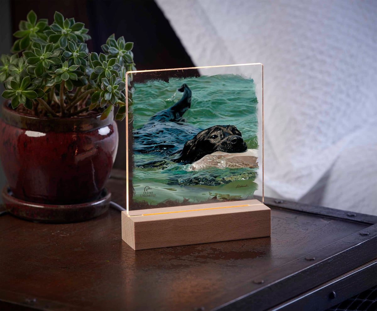 Training Day - Black Lab - 6.37" x 6" Acrylic Night Light - Official Ducks Unlimited Art