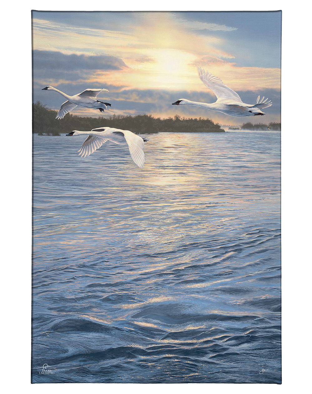 Trumpts at Sunset - Gallery Wrapped Canvas - Official Ducks Unlimited Art