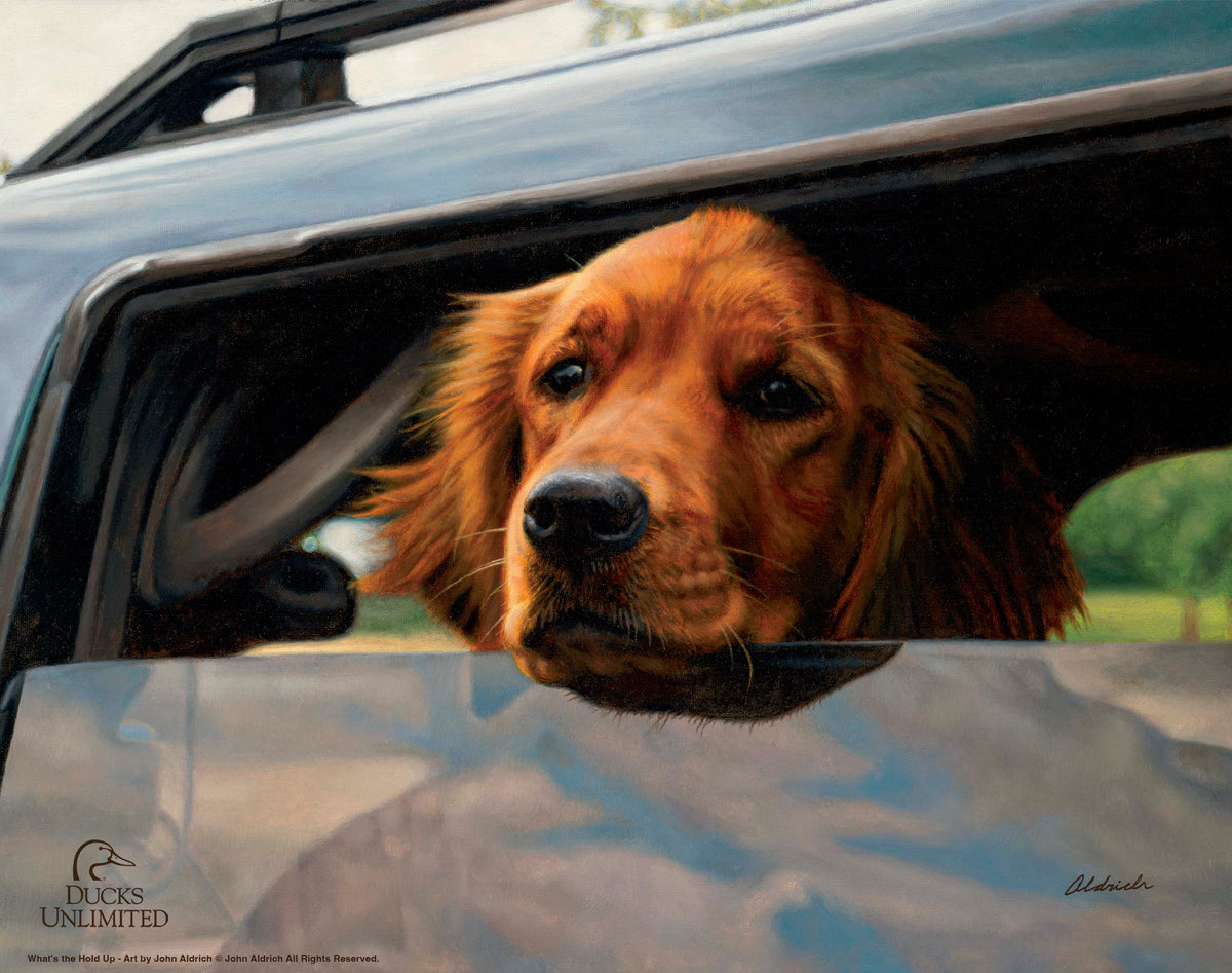 What's the Hold Up - Art Prints - Official Ducks Unlimited Art