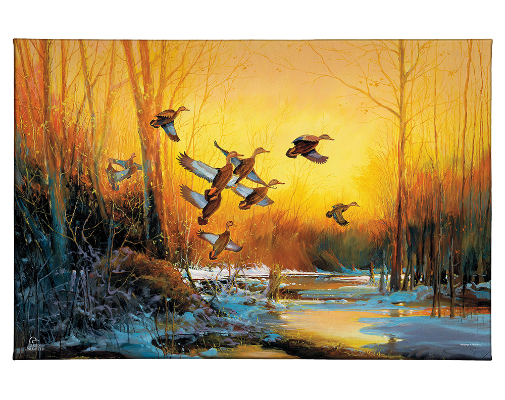 Winter Blacks - Gallery Wrapped Canvas - Official Ducks Unlimited Art