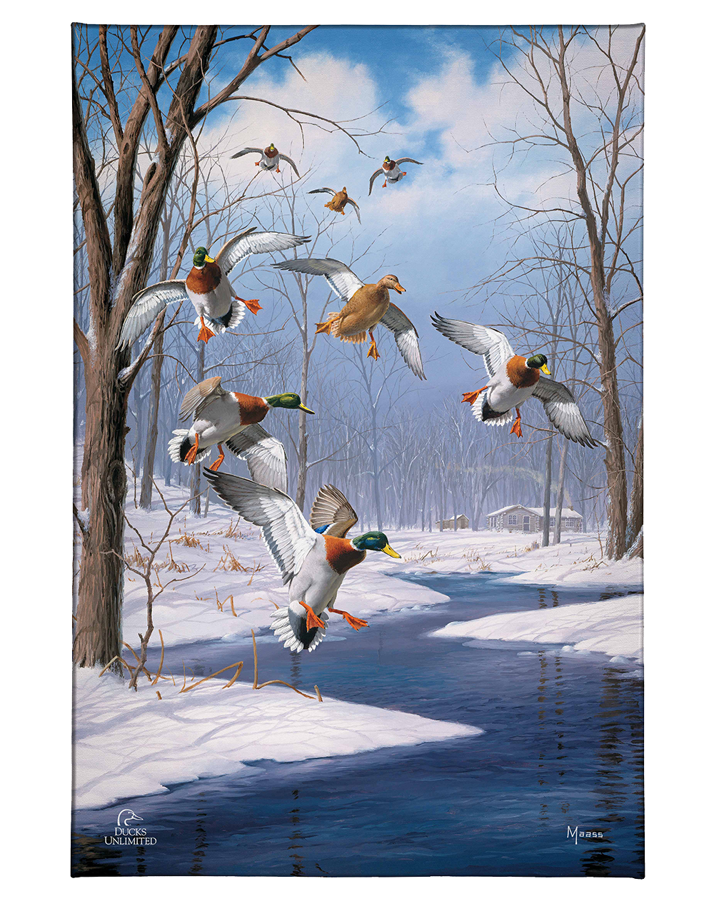 Winter Wonder- Mallards - Gallery Wrapped Canvas - Official Ducks Unlimited Art