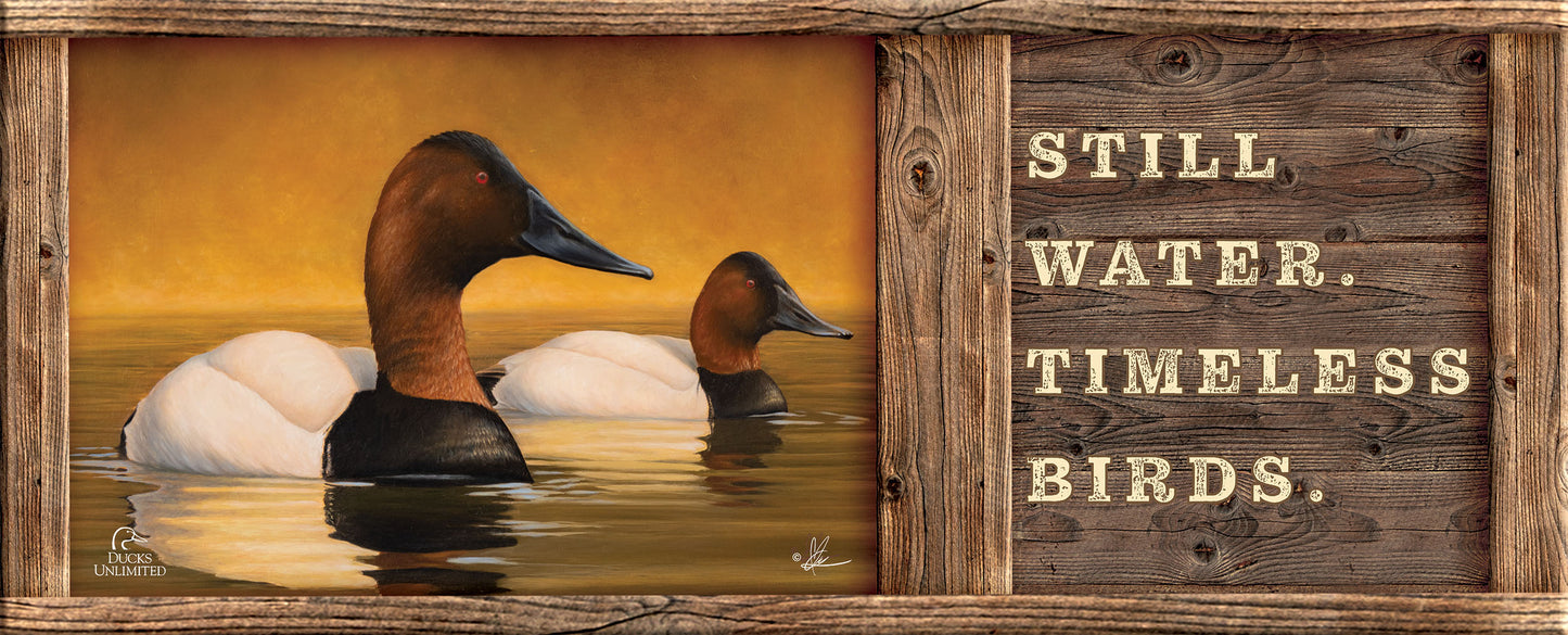 Canvas Back "Still Water. Timeless Birds." 12" x 30" Wood Sign - Official Ducks Unlimited Art