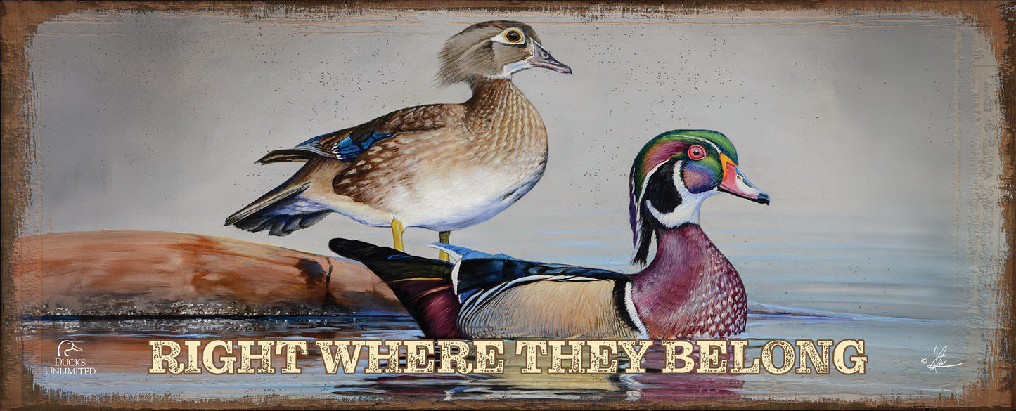 Foggy Day Woodies "Right Where They Belong." 12" x 30" Wood Sign - Official Ducks Unlimited Art