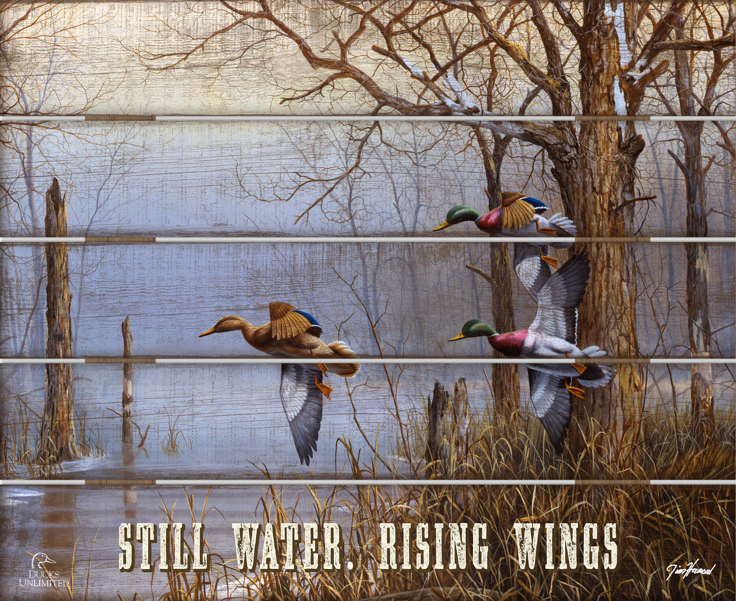 After the Thaw "Still Water. Rising Wings." 18" x 22" Pallet Wall Art - Official Ducks Unlimited Art