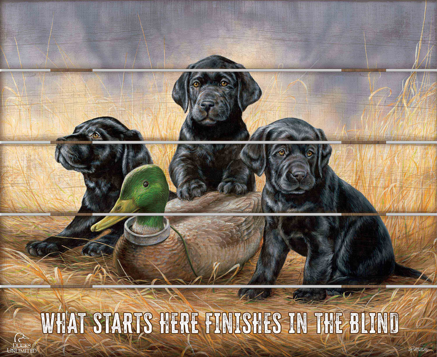 Ready for Class - Black Lab Puppies “What Starts Here Finishes in the Blind.” 18" x 22" Pallet Wall Art - Official Ducks Unlimited